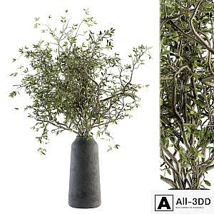Bouquet - Green Branch in vase 40