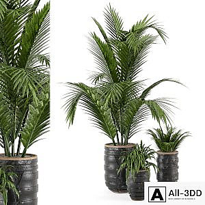 Outdoor Plants bush and Tree in rusty Concrete Pot - Set 148