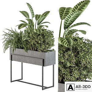 indoor Plant Set 321 - Plant Set in Black Box