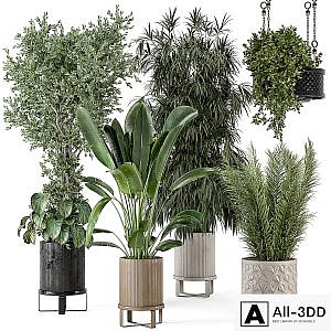 Indoor Plants in Ferm Living Bau Pot Large - Set 474