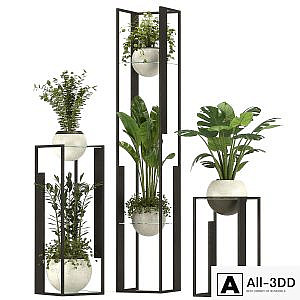Collection Indoor Plants Nim12