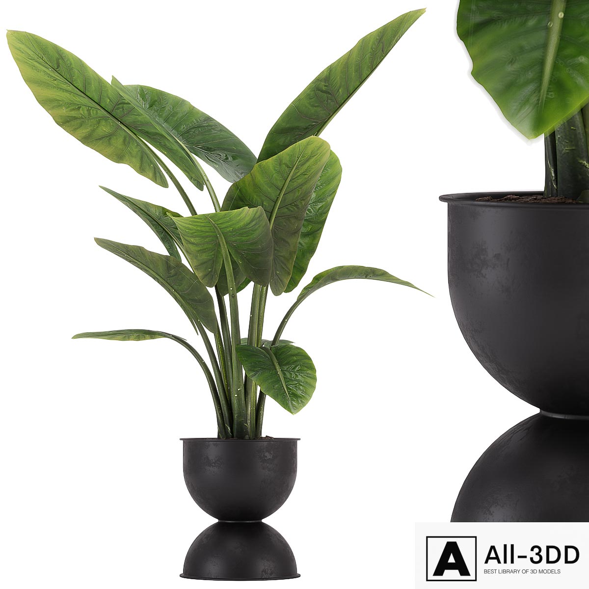 indoor plant set 36 modern interior 3D model indoor plant set 36