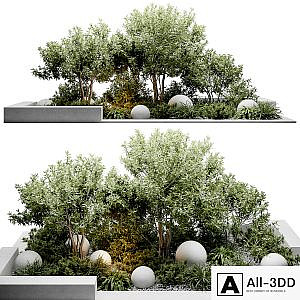 outdoor plants
