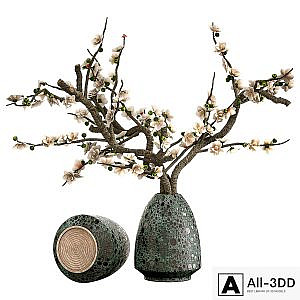 Indoor Plant Set 28