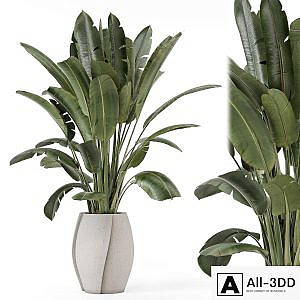 Indoor Plants in rusty Concrete Pot - Set 1612