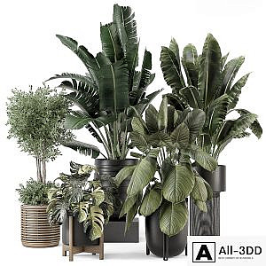 Indoor Plants in Ferm Living Bau Pot Large - Set 1665