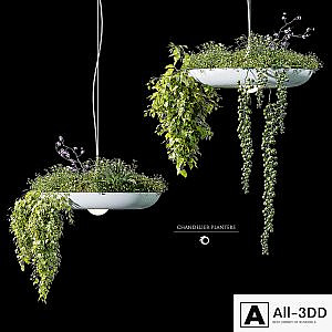 Chandelier plant pot