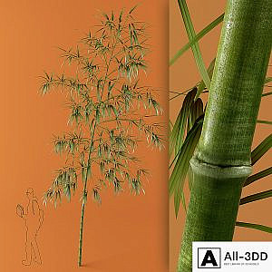 bamboo