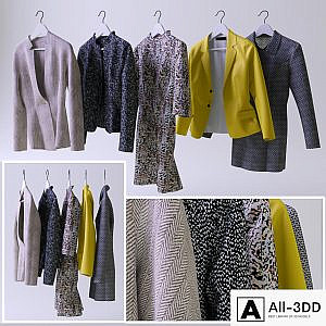 Set of women's clothing