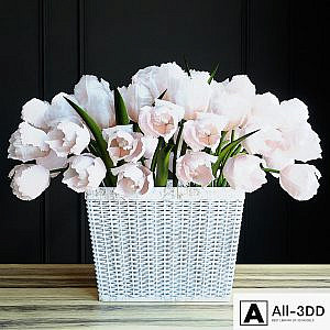 Tulips in the basket