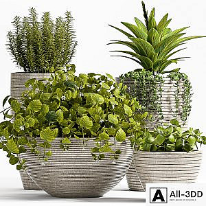 Plant 57
