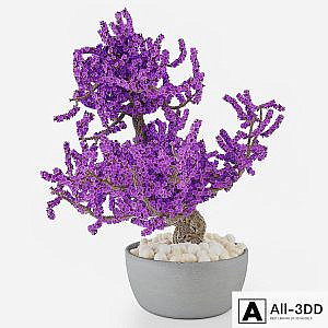 Bonsai A