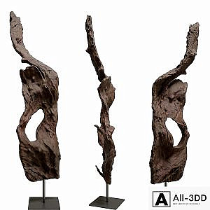 mangove root