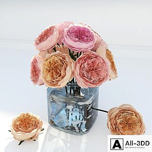 JULIET ROSES