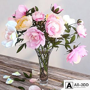 Peonies