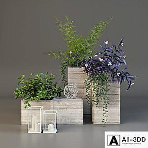 Decor set with plants