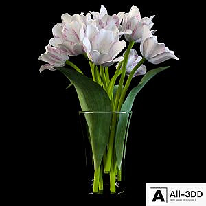 Tulips bouquet. White