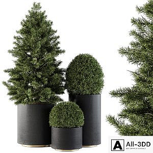 Outdoor Plants tree in Concrete Pot - Set 110