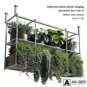 collection Indoor plants hanging pot-metal bax vase 11