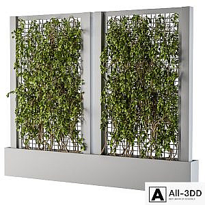 ivy Box Plants Gray