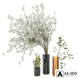 Indoor Plants Cactus & Eucalyptus whit Glass Pots - Set 38