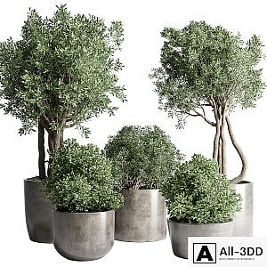 Collection Outdoor Indoor plant 53 concrete dirt vase pot tree bush