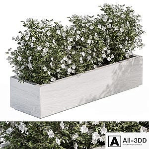 Outdoor Plant Set 304 - Plant Box