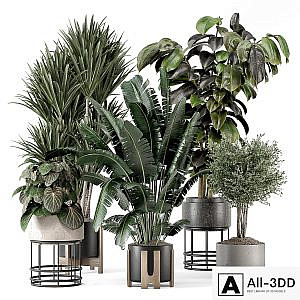 Indoor Plants in Ferm Living Bau Pot Large - Set 1351