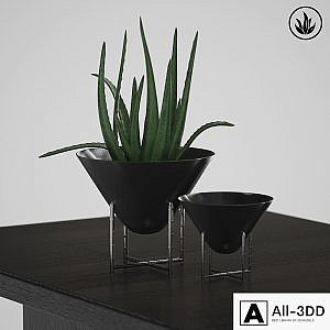aloedec