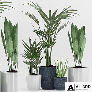 Plant 75