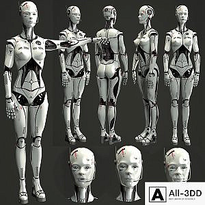 Robot