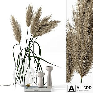 Grass in round vase