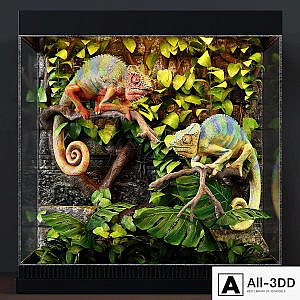 Terrarium