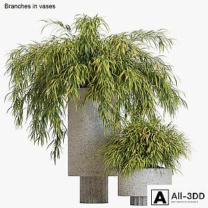 Branches in vases # 14: Hakonechloa