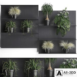 Collection of small plants black metal shelf with flowers in pots with monstera, dracaena, Chlorophytum, grass grass. Set of 50.