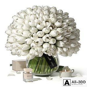 Tulips Interflora Luxury Collection