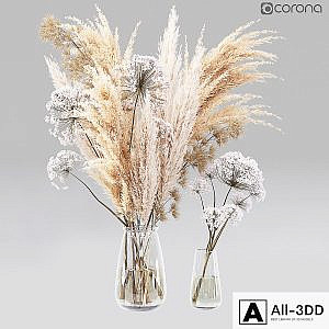 Dry Flower 01