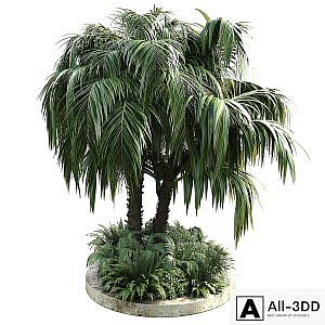 Collection Outdoor plant 39 in garden pot tree palm bush fern concrete dirt old vase