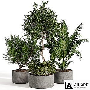 Outdoor plant collection 02