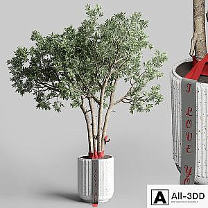 Indoor outdoor plant 111 pot friendship-love tree concrete vase