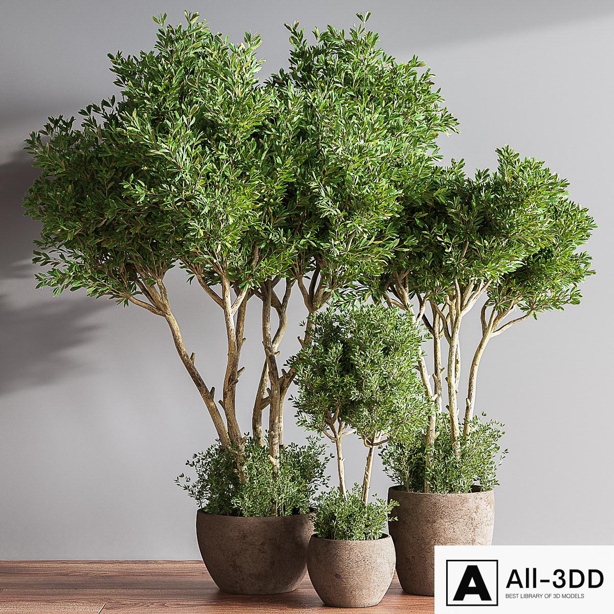 Indoor Plant Set 50 modern interior 3D model Indoor Plant Set 50