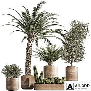 indoor plant set 41