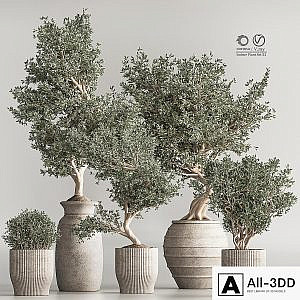 Indoor Plant Set 53