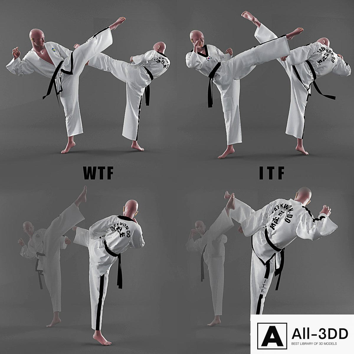 Form of taekwondo modern interior 3D model Form of taekwondo