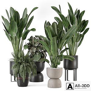 Indoor Plants in Ferm Living Bau Pot Large - Set 1256