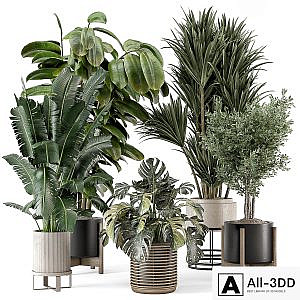 Indoor Plants in Ferm Living Bau Pot Large - Set 1328