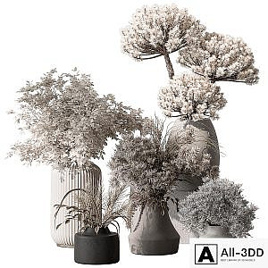 Bouquet - Dried Plant Set 105