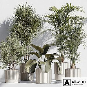 indoor plant set 72