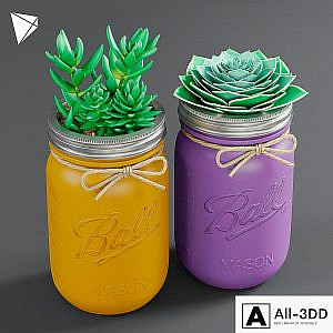 Pot Ball Mason Jar Succulent
