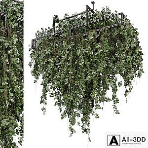 Indoor Hanging Plants in Metal Box - Set 2009